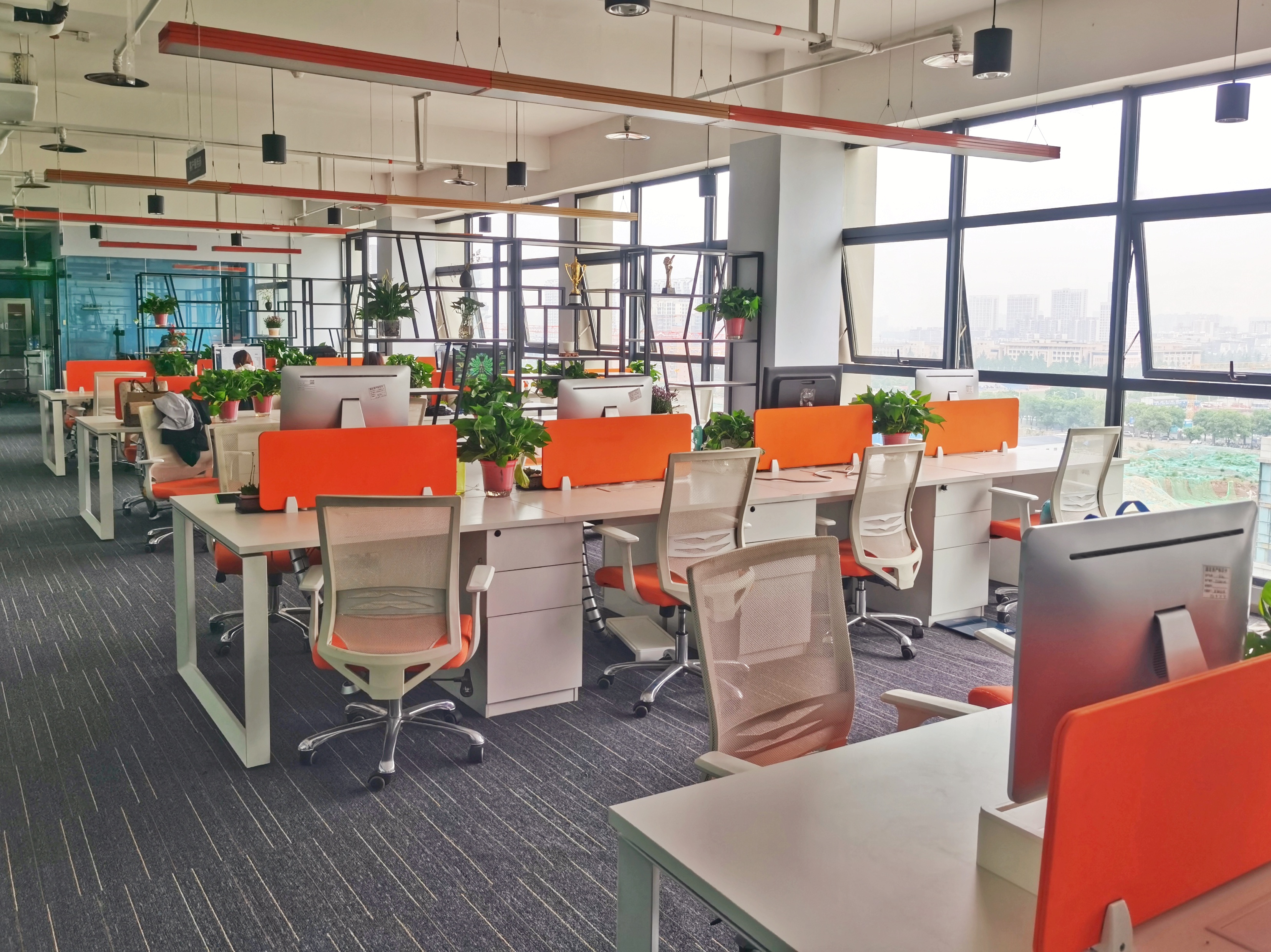 portfolio item photo