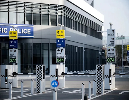 portfolio item photo